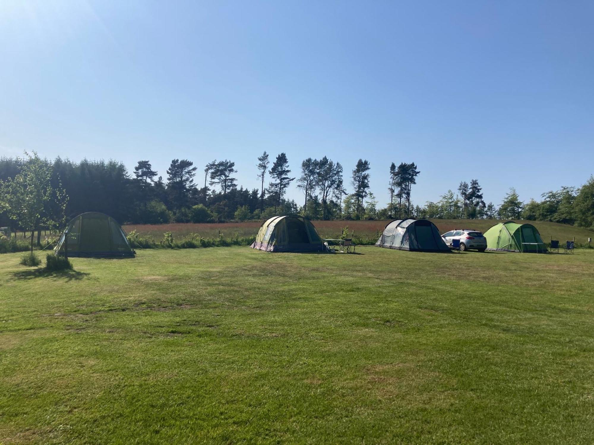 מלון פיקרינג Bank Top Camping-North York Moors With Pitches For Caravans, Camper Vans And Tents מראה חיצוני תמונה